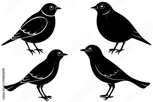 set lark bird silhouette vector illustration