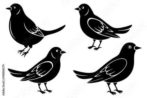 set lark bird silhouette vector illustration