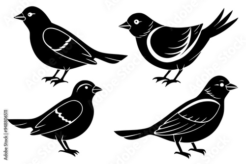 set lark bird silhouette vector illustration