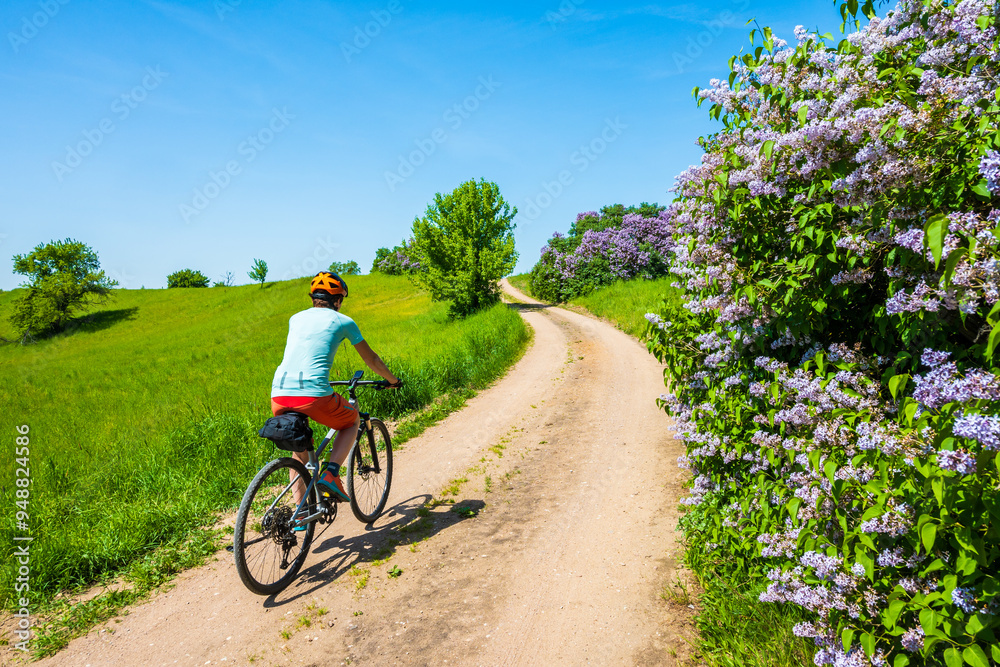 Woman cyclist riding bicycle on gravel forest road, Wigry National Park, Podlasie, Poland