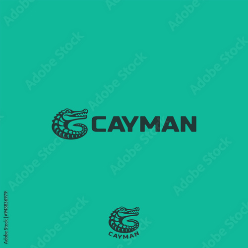 Ready Cayman logo for various businesses