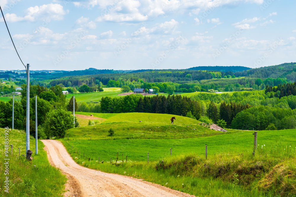 Countryside dirt road along green fields and meadows, Suwalski Landscape Park, Podlasie, Poland