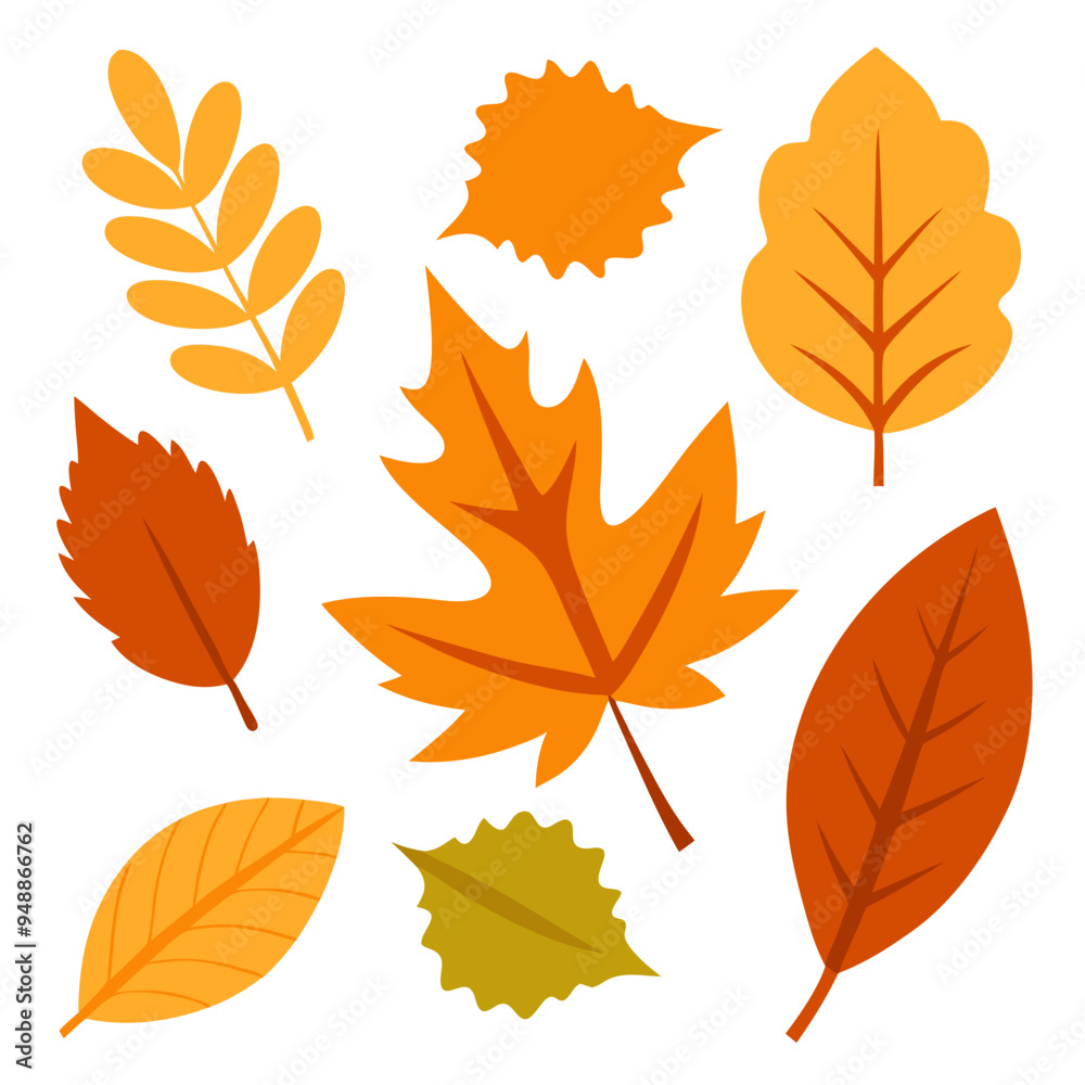Fototapeta premium Collection of autumn leaves isolated on a transparent background.