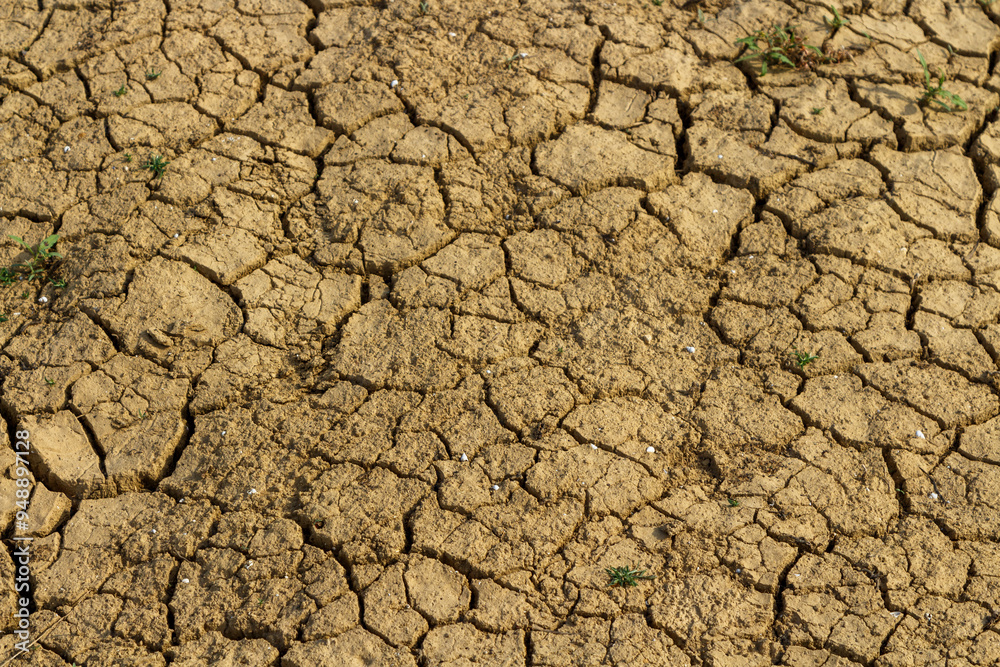 Drought mud cracked ground with slight vegetation in the crevases Drought mud cracked ground with slight vegetation in the crevases