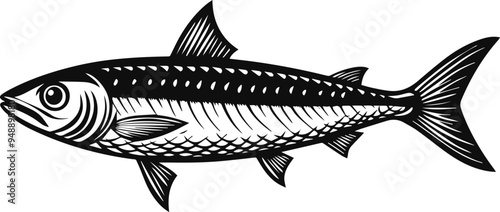sardine silhouette vector illustration