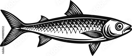 sardine fish silhouette vector illustration