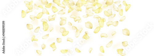Yellow falling rose or sunflowers petals.Transparent panoramic horizontal background.Amber flower spring template.