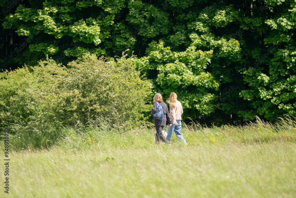 two ladies walking a dog in countryside two ladies walking a dog in countryside