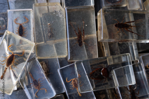 scattered pieces of a vintage insects collection, flea market