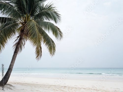 A serene beach with a palm tree swaying gently by the calm ocean on a cloudy day photo