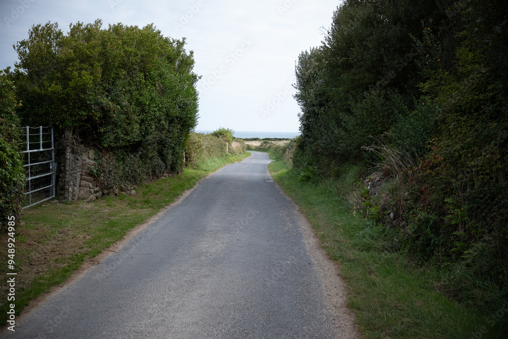 road leads to ocean in the countryside road leads to ocean in the countryside