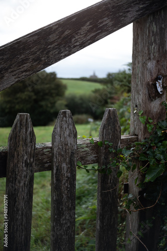 detail of an old wooden gate in normandy