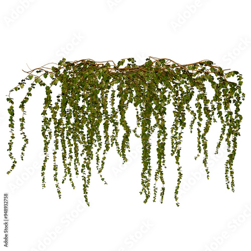 Common European Ivy Hedera Helix | High Resolution, Isolated, 3D Render
