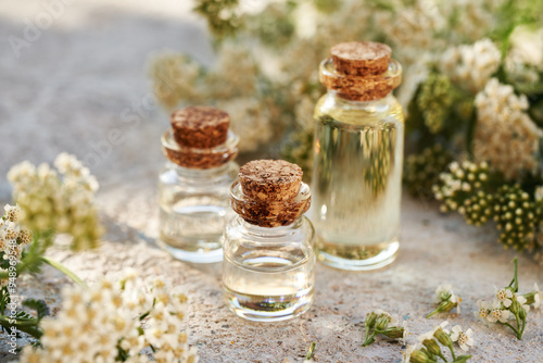 Three bottles of aromatherapy essential oil with fresh blooming yarrow plant