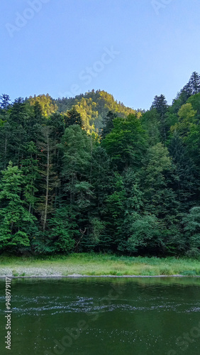 beautiful summer landscape with river and green forest