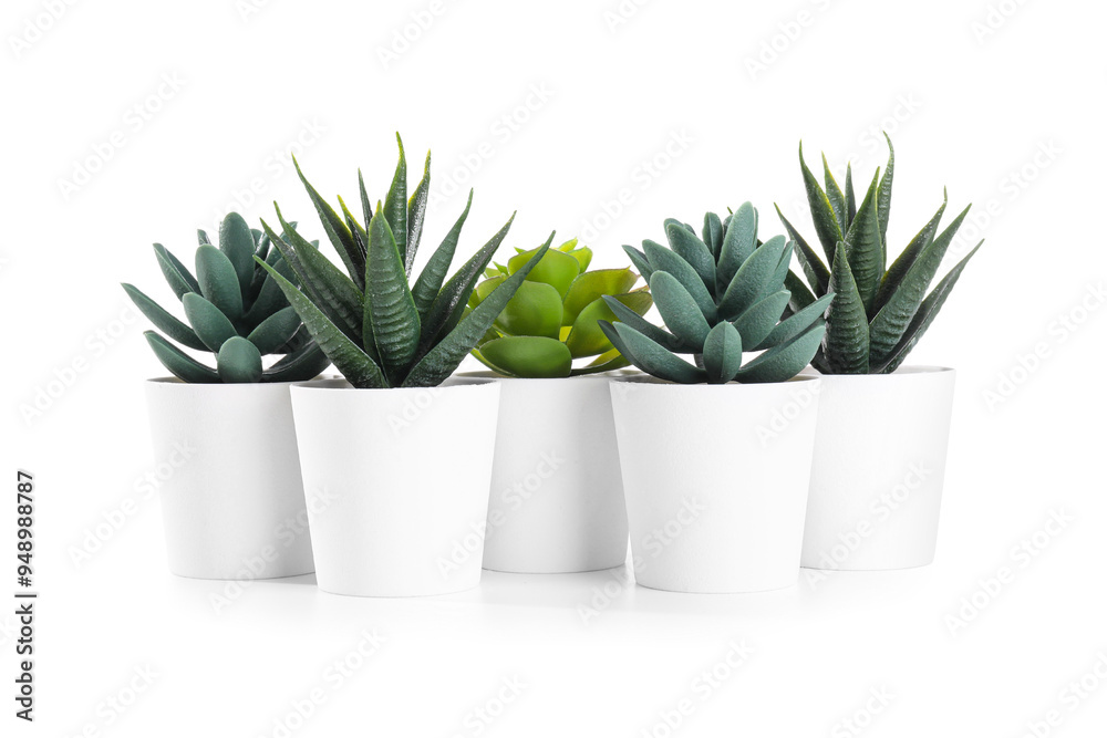 Artificial succulents on white background Artificial succulents on white background