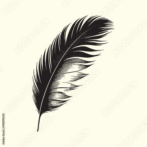 Editable Black Bird Feather Silhouette Design on Transparent Background