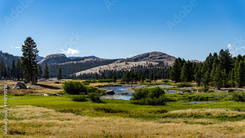 Meadow with forest at Tuolumne Meadows Yosemite