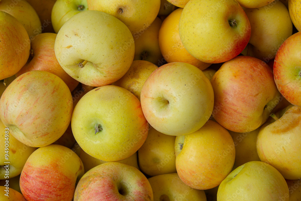Lots of green apples. Tasty and juicy. Background of apples. High quality photo Lots of green apples. Tasty and juicy. Background of apples. High quality photo