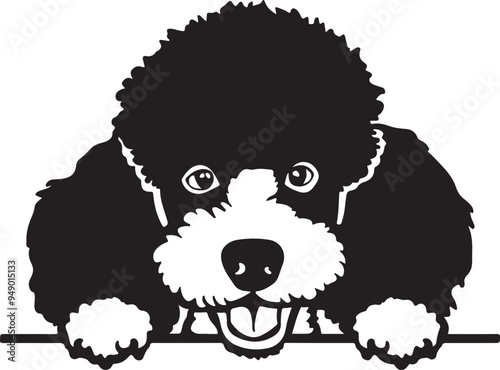 Poodle Peeking Stylized Vector Illustration