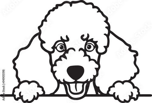 Poodle Dog Peeking Stylized Vector Illustration