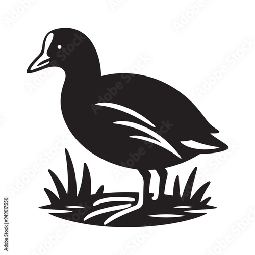 Common Moorhen and Pelican Silhouette Vector Illustrations – Perfect for T-Shirt Designs