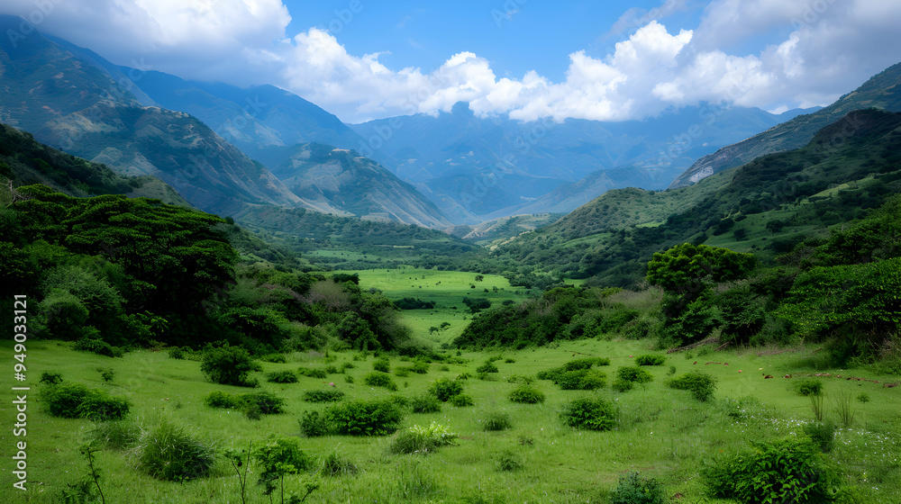 Naklejka premium View Valley With Mountains The Background