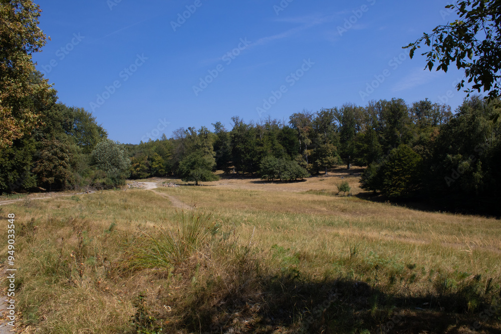 Slovakia Woodlands beginning of fall on hot & sunny day Slovakia Woodlands beginning of fall on hot & sunny day