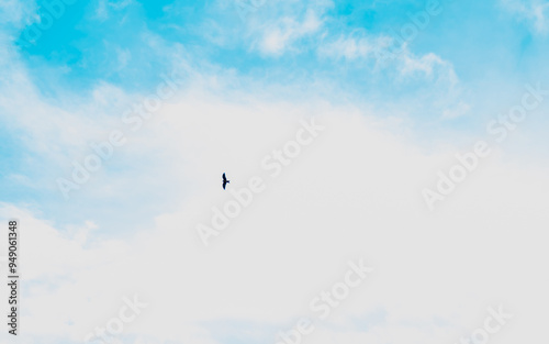 A solitary bird soars high in the bright blue sky on a sunny day with scattered clouds in the afternoon light