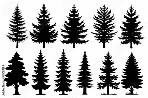 Pine Trres vector trees set. Tree icons are set in a modern flat style. Vector silhouette, graphic trees elements and landscape