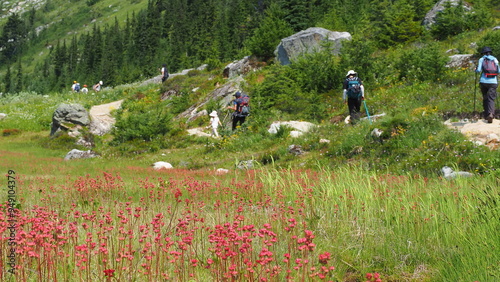 Fotografie Brandywine meadows hiking