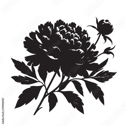 Peonie flower vector silhouette with white background