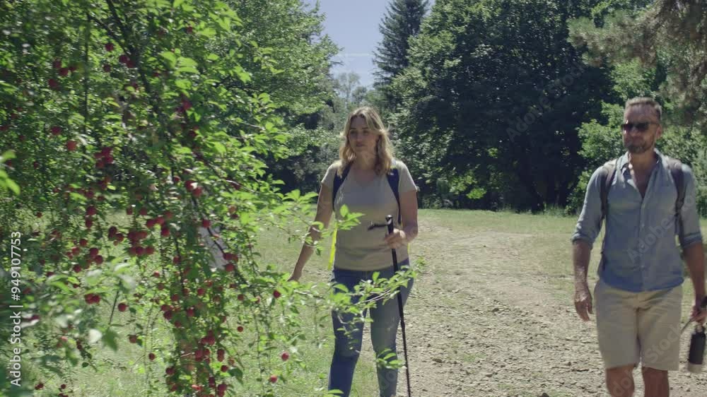 The family hike in nature and enjoys in fresh forest fruit picked directly from the trees. The family hike in nature and enjoys in fresh forest fruit picked directly from the trees.