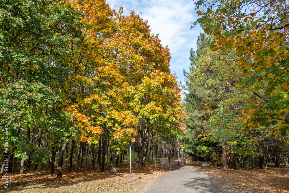 Naklejka premium Autumn view of South Park in city of Sofia, Bulgaria