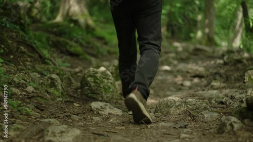 Slow-motion tracking shot of a person hiking on a forest trail, showcasing the beauty of nature and outdoor adventure