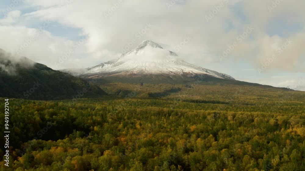 view of an autumn forest against the backdrop of a large snow-covered volcano, Kamchatka