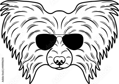 Papillion In Sunglasses