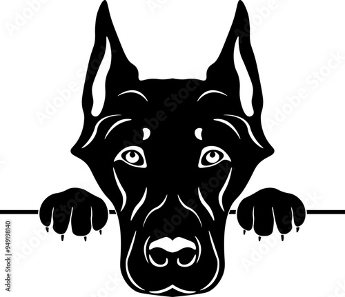 Peeking Beauceron