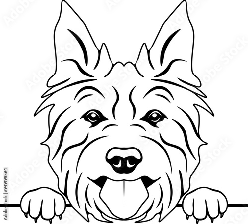 Peeking Australian Terrier