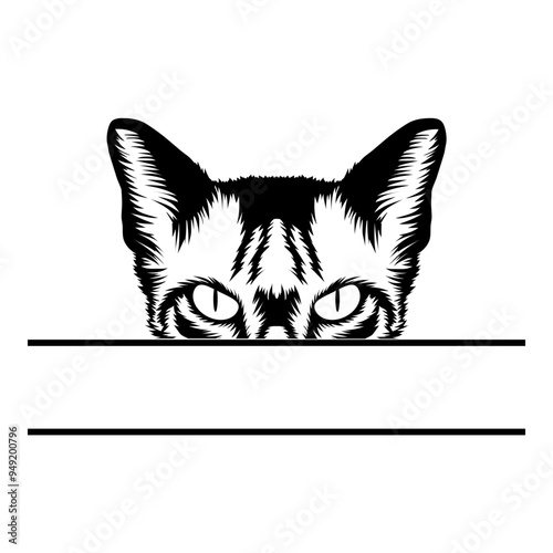 Peeking Cat