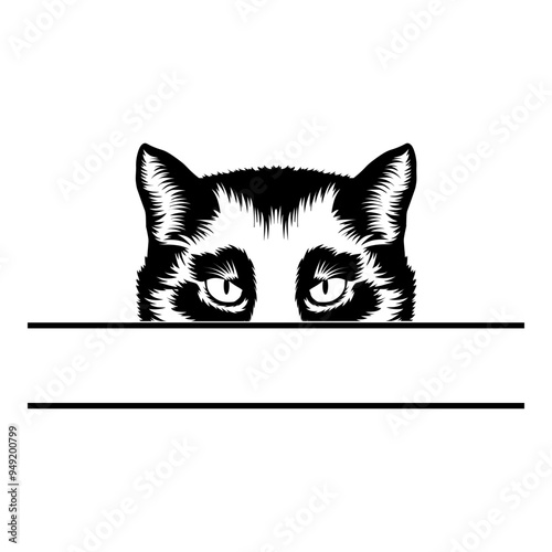 Peeking Cat