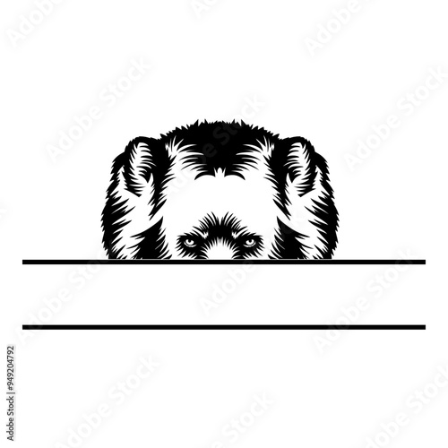 Peeking Grizzly Bear