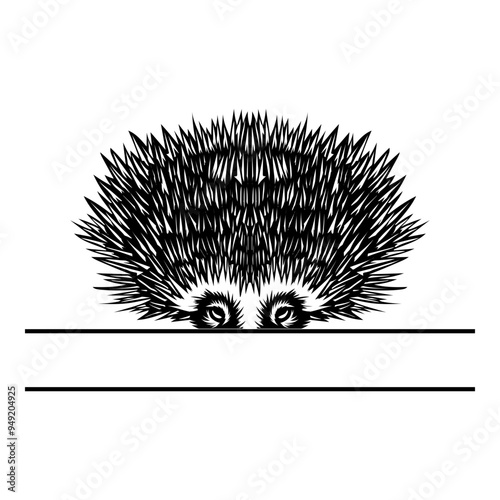 Peeking Echidna