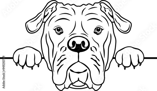 Peeking Old Tyme Bulldog