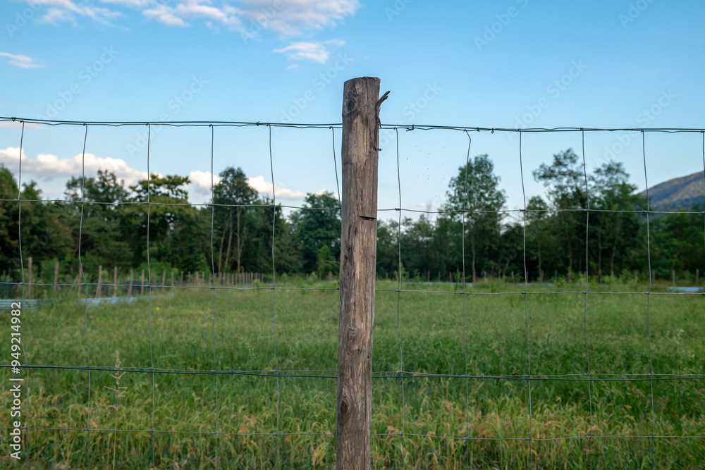 Fototapeta premium wooden pole fence
