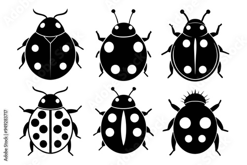 
ladybug set. Black silhouette ladybug vector illustration, set of coccinellidae silhouette
 
