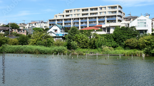 小池公園　東京都大田区 photo