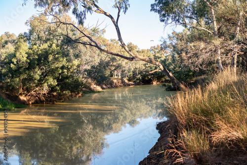 Bulloo River at Quilpie in Queensland photo