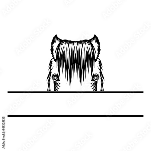 Peeking Pony