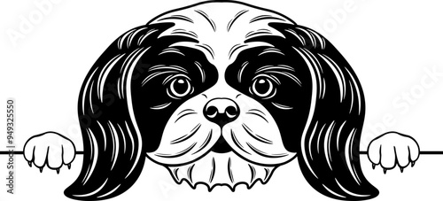 Peeking Shih Tzu